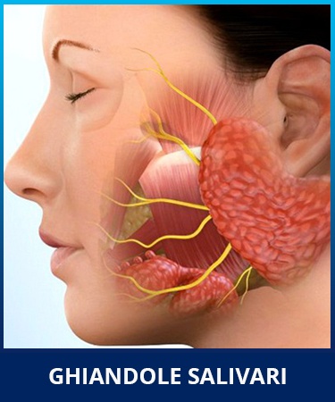 Ghiandole salivari - Otorinolaringoiatria Roma